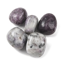 Лепидолит Натуральные бусины из лепидолита, обваленные камни, нет отверстий / незавершенного, самородки, 20~56x18~30.5x8~28 мм