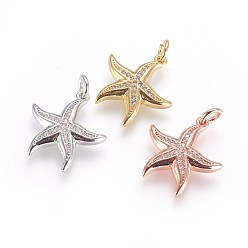 (52) Непрозрачная лаванда Латунные микро проложить кубического циркония подвески, с целью перехода в кольце, морская звезда / морские звезды, прозрачные, разноцветные, 18x17x3 мм, отверстие : 3 мм