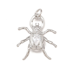 Платина Латунные микро проложить кубического циркония подвески, обереги от насекомых, долговечный, без кадмия и без свинца, стойки покрытие, с целью перехода в кольце, платина, 24x20x6 мм, отверстие : 3.4 мм