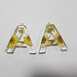Letter A Подвески из прозрачной эпоксидной смолы, подвески-буквы с петлями, буква a, 42x43x7.5 мм, отверстие : 2 мм