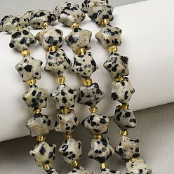 Далматинских Джаспер Природные яшмы далматин бисер нитей, толстая звезда, с бисером, 9~9.5x10x6 мм, отверстие : 0.8~0.9 мм, около 35 шт / нитка, 14.72~15'' (37.4~38.1 см)