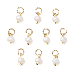 Золотой Картофельные прелести из натурального культивированного пресноводного жемчуга, с открытыми пружинными кольцами из нержавеющей стали 304, кремово-белые, золотые, 8.5x4.5~5x4~4.5 мм, отверстие : 3.6 мм