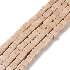 Деревянное Окаменение Природные окаменелое дерево бисер пряди, кубические, 4x4x4 мм, отверстие : 1 мм, около 91~94 шт / нитка, 15.47'' (39.3 см)