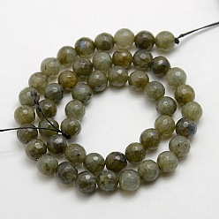 Labradorit Natürlichen Edelstein Labradorit facettierte runde Perle Stränge, 6 mm, Bohrung: 1 mm, etwa: 63 Stk. / Strang, 14.5~15 Zoll