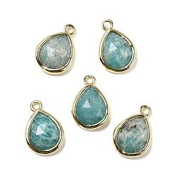 Амазонит Граненые подвески из натурального амазонита, стойки с позолоченными латунными подвесками-каплями, 14x9.5x4 мм, отверстие : 1.4 мм