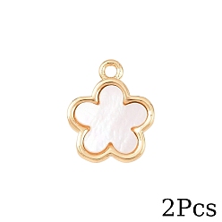 Морская Ракушка 2шт. подвески в виде цветов из натуральных ракушек, с латунной, реальный 18 k позолоченный, цвет морской раковины, 12x10x3 мм, отверстие : 1.2 мм