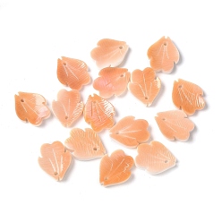 Легкий Лосось Натуральные резные листочки из ракушек, светлый померанцевый, 12~12.5x9.5~10x1.5~2 мм, отверстие : 1 мм