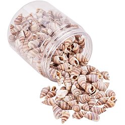 Spiral Shell Spiral Shell Charms/Pendants, 15~20x8~11x7~9mm, Hole: 1mm, about 250pcs/box
