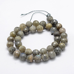Labradorite Natural Labradorite Beads Strands, Grade A-, Faceted, Round, 6mm, Hole: 1mm, about 66pcs/strand, 15.1 inch(38.5cm)
