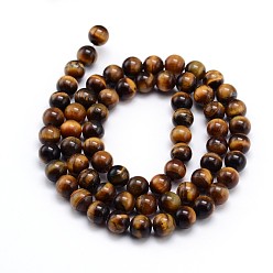 Tiger Eye Natural Tiger Eye Beads Strands, Grade A, Round, 10mm, Hole: 1mm, about 40pcs/strand, 16 inch