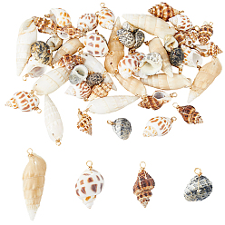 (52) Непрозрачная лаванда 48шт 4 стили натуральные подвески из смешанных ракушек, подвески в форме ракушки с петлями из светло-золотой медной проволоки, разноцветные, 11~20x22~49x11~16 мм, отверстие : 3~5 мм, 12 шт / стиль