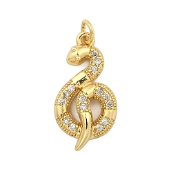 Золотой Латунные микропаве прозрачные подвески с фианитом, змея, с целью перехода в кольце, золотые, 25x13x4.5 мм, отверстие : 2.5 мм