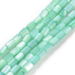 Medium Aquamarine Natural Trochus Shell Beads Strands, Dyed, Column, Medium Aquamarine, 5x3mm, Hole: 0.8mm, about 82~83pcs/strand, 15.63''(39.7cm)