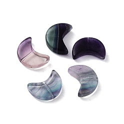 Флюорит Природный бисером флюорита, полумесяц, 16x11~12x4~4.5 мм, отверстие : 1~1.2 мм