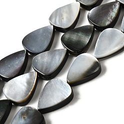 черная губная раковина Натуральный черный оболочки губ бисер нитей, слеза, 17~17.5x13~13.5x4~4.5 мм, отверстие : 1.2 мм, около 23 шт / нитка, 15.63'' (39.7 см) ~ 15.71'' (39.9 см)