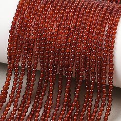 Красный Природные пряди сердолик бисера, круглые, окрашенные, 2~2.5 мм, отверстие : 0.6 мм, около 175~185 шт / нитка, 16 дюйм