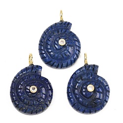 Ляпис-Лазурь Крашеные природные лазурит подвески, Подвески в виде раковин с латунными микропаве из прозрачных кубических цирконий., 33~34x22~23.5x10.5 мм, отверстие : 4.5 мм