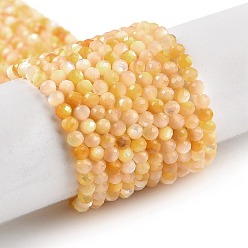 PeachPuff Natural Yellow Shell Beads Strands, Faceted, Round, PeachPuff, 3~3.5mm, Hole: 0.6mm, about 138pcs/strand, 15.55 inch(39.5cm)