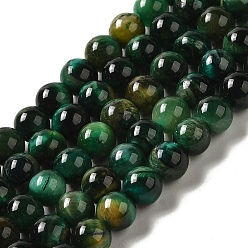 Dark Green Dyed Natural Tiger Eye Beads Strands, Round, Dark Green, 6mm, Hole: 1.2mm, about 60~61pcs/strand, 14.84~15.08 inch(37.7~38.3cm)