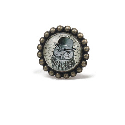 Сова Плоские круглые ручки для стеклянных ящиков, со сплавом, шкаф тянет ручки, аксессуары для дверных ручек, сова, 42x35 мм