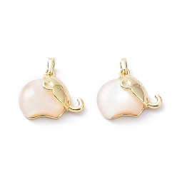 Real 18K Gold Plated Rack Plating Brass Elephant Charms, with Shell, Long-Lasting Plated, Real 18K Gold Plated, 11.5x14x4.6mm, Hole: 2.1x1.9mm
