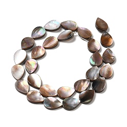 Autres Coquillages De Mer Naturelles coquillage perles brins, larme, 14x10x2~2.5mm, Trou: 0.8mm, Environ 28 pcs/chapelet, 15.59'' (39.6 cm)