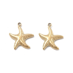 Настоящее золото 18K 304 прелести нержавеющей стали, очарование морской звезды, ионное покрытие (ip), реальный 18 k позолоченный, 14x12x2 мм, отверстие : 1.2 мм