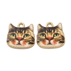 Разноцветный Подвески из эмали и сплава, без кадмия, без никеля и без свинца, золотые, очарование кошачьей головы, красочный, 17x17x2 мм, отверстие : 2 мм