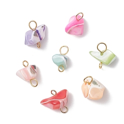 (52) Непрозрачная лаванда Подвески-коннекторы из окрашенных натуральных ракушек-трохидов, звенья Nuggets с 304 двойными петлями из нержавеющей стали, золотые, разноцветные, 11.5~13.5x6.5~14x5.5~9.5 мм, отверстие : 1.6~3 мм