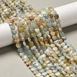 Flower Amazonite Натуральный цветок амазонитовые бусины пряди, сердце, 5.5x6~6.5x2.5~3 мм, отверстие : 0.7 мм, около 69~72 шт / нитка, 14.88~15.2 (37.8~38.6 см)