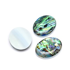 Colorful Paua Shell Oval Cabochons, Colorful, 24.5~25x19~19.5x3.5~4mm