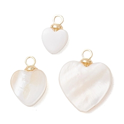 Золотой 3шт. 3 размеры подвески в виде сердца из натуральных пресноводных ракушек, с латунной поручительств, цвет морской раковины, золотые, 9~14x6~12x2.5~3 мм, отверстие : 1.6 мм, 1 шт / размер