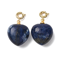 Ляпис-Лазурь Подвеска в форме сердца из натурального лазурита., с медными застежками, золотые, 24.5~25.5 мм, отверстие : 3 мм
