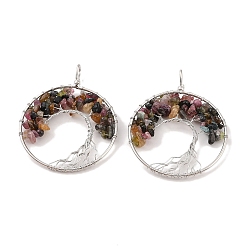Турмалин Крупные подвески из натурального разноцветного турмалина, с платиновой и латунной фурнитурой, долговечный, без свинца и без кадмия, плоские круглые с деревом, 62x49x6~13 мм, отверстие : 7x4 мм