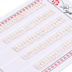 Кремово-белый Сорт 3бусины из натурального культивированного пресноводного жемчуга, половине просверлил, полукруглые бусины, кремово-белые, 2.5~3x2~2.5 мм, отверстие : 1 мм