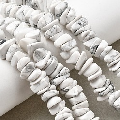 Говлит Природные Говлит бисер нитей, самородки, 8~17.5x7~14x2~5 мм, отверстие : 0.8 мм, 15.55~15.94'' (39.5~40.5 см)