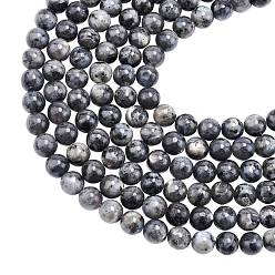 Larvikite Натуральные нити бус из ларвикита, круглые, 8 мм, отверстие : 1 мм, около 47~49 шт / нитка, 15.35'' (39 см), 6 пряди / коробка