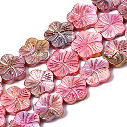 Камелия Естественных пресноводных оболочки бисер нитей, с покрытием AB цвета, окрашенные, цветок, камелия, 12.5x13x2.5 мм, отверстие : 0.7 мм, около 30 шт / нитка, 14.25~14.76 дюйм (36.2~37.5 см)