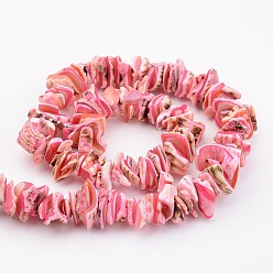 Mixed Color Natural Shell Bead Strands, Dyed, Nuggets, Mixed Color, 10~20x8~12x3~6mm, Hole: 1mm, about 15.7 inch
