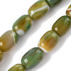 Цвет Оливы Нити бусин из натурального полосатого агата/полосатого агата (окрашенного и нагретого), колонка, оливковый, 17~18x13 мм, отверстие : 1 мм, около 11 шт / нитка, 7.68'' (19.5 см)