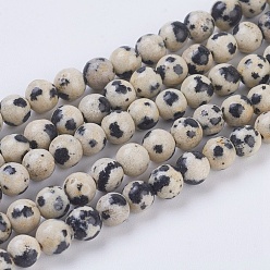 Dalmatian Jasper Natural Dalmation Jasper Beads Strands, Round, 4mm, Hole: 1mm, about 43pcs/strand, 7.6 inch