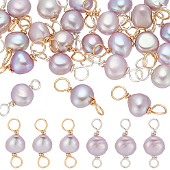 Золотой & Серебряный 24 шт. 2 цвета натуральный культивированный пресноводный жемчуг двухсторонние полированные подвески, с двойной петлей из медной проволоки, чертополох, золотой и серебряный, 14~15 мм, отверстие : 2.2~2.8 мм, 12 шт / цвет