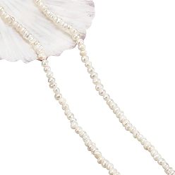 Морская Ракушка 1 нити натуральных культивированных пресноводных жемчужных бусин, картофель, цвет морской раковины, 2~2.5x2~2.5x2~2.5 мм, отверстие : 0.5 мм, около 146~149 шт / нитка, 13.78 дюйм (35 см)
