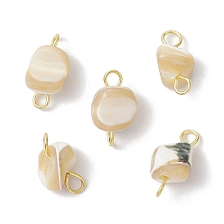 Золотой Натуральный трохус ракушка самородки ссылки соединительные подвески, с 304 двойными петлями из нержавеющей стали, цвет морской раковины, золотые, 11.5~13.5x6~7x5.5~7 мм, отверстие : 1.8 мм