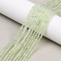 Пренит Природные пренит нитей бисера, круглые, 2 мм, отверстие : 0.5 мм, около 144 шт / нитка, 15.20 дюйм (38.6 см)