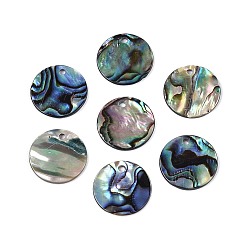 Раковина Натуральные подвески из ракушек пауа, 15x1~1.5 мм, отверстие : 1.2~1.5 мм