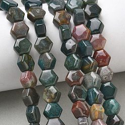 Indian Agate Natural Indian Agate Beads Strands, Hexagon, 8x8.5~9x5mm, Hole: 0.8mm, about 47~48pcs/strand, 15.16~15.35''(38.5~39cm)