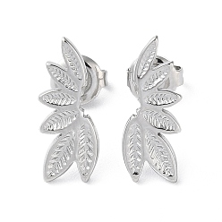 Нержавеющая Сталь Цвет Не тускнеют 304 серьги-гвоздики из нержавеющей стали, лист, цвет нержавеющей стали, 17.5x6.5 мм