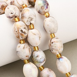 (404) Непрозрачное AB Кислое яблоко Гальванические природные друзы геод, барабан, с бисером, цветочный белый, 14~15x12~12.5 мм, отверстие : 1.6 мм, около 11 шт / нитка, 7.60'' (19.3 см)