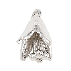 Платина Латунные подвески, , платина, 11.5x8x8.5 мм, отверстие : 1.2 мм